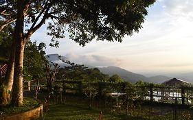 Finca San Antonio
